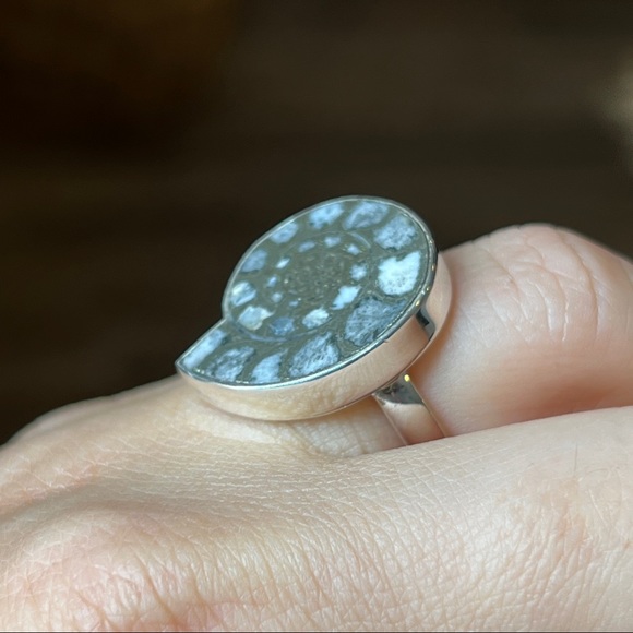 Sterling Silver Pyritized Ammonite Shell Ring. Sz 6 - Picture 3 of 6